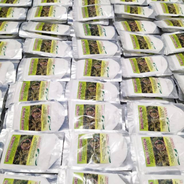 Booster Perangsang buah kelengkeng