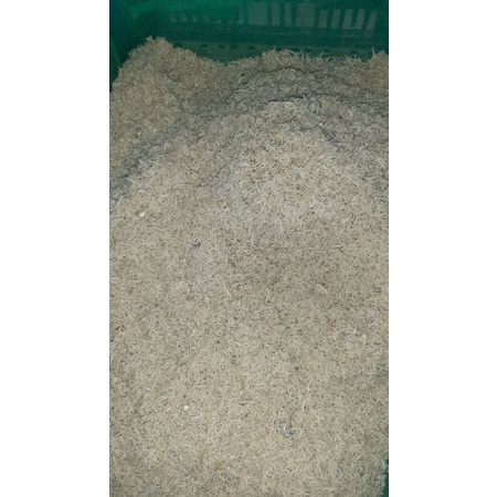 

teri mentah camilan MUSI krispy