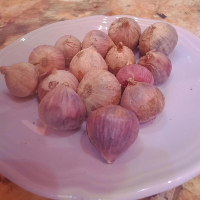 

Siap Kirim Bawang Putih Tunggal 1 Kg - 1/4 Kg
