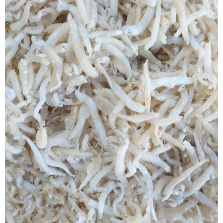 

IKAN ASIN TERI TOGE MEDAN 100 gram Depok