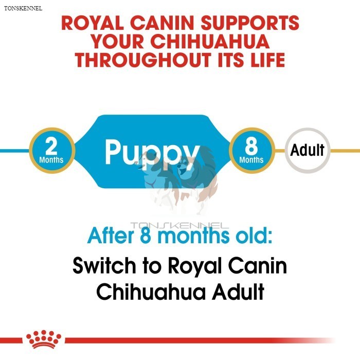 Royal Canin Chihuahua Junior Makanan Anak Anjing Dry 1,5kg Puppy Cihuahua Chh Pelet Kibble Kecil rc