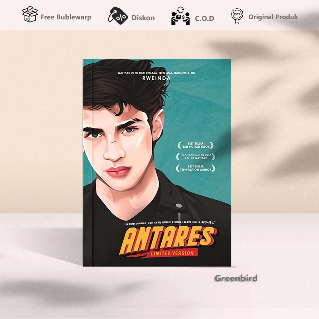 BUKU NOVEL ANTARES Rweinda