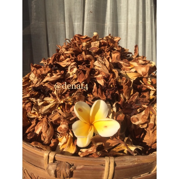 

[Foto Asli] Teh Kamboja kering PREMIUM