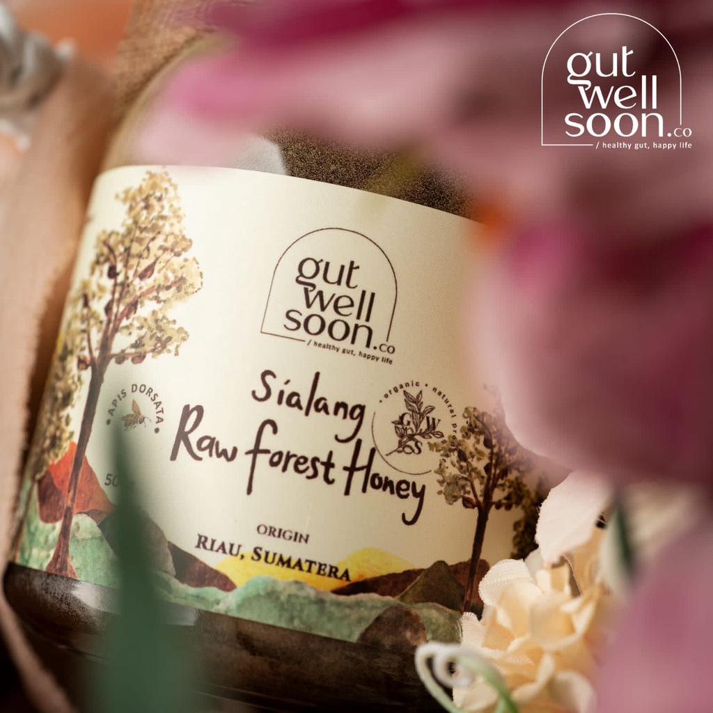 

Gut Well Soon Sialang Raw Forest Honey 500gr