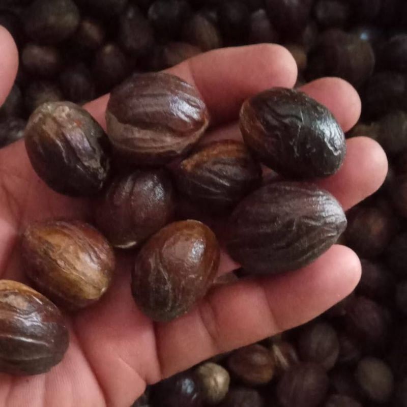 

Biji Pala 100 gram / Biji Pala super