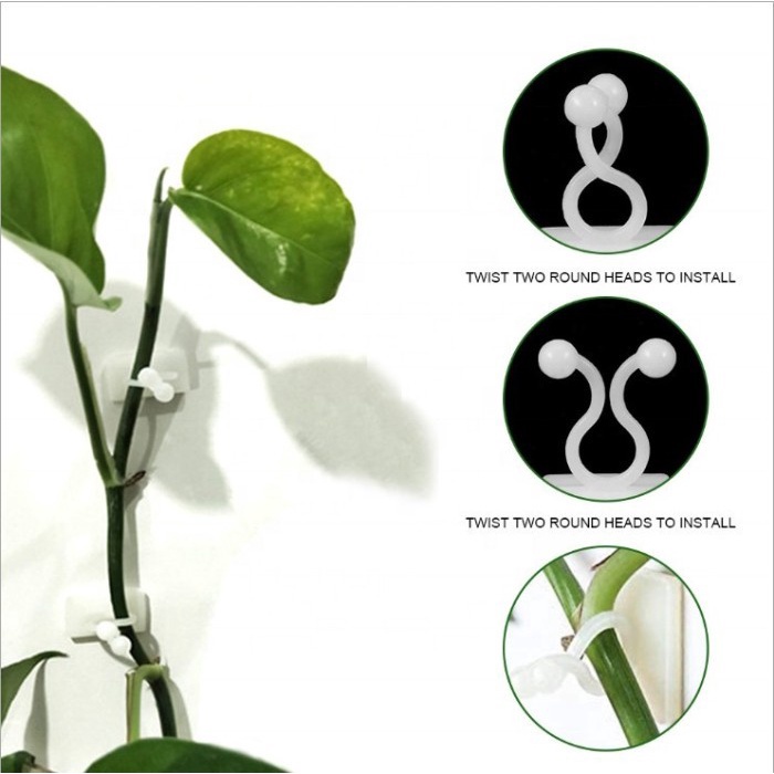 FMFIT invisible plant leaf