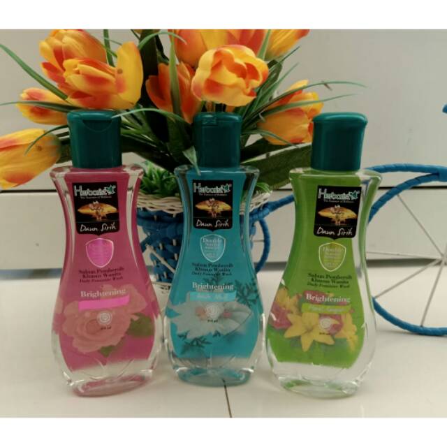 herborist daun sirih (200gr)