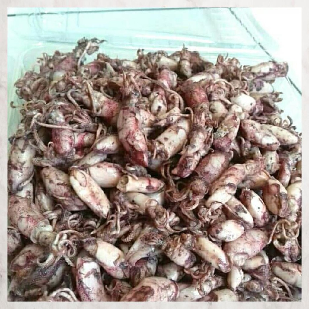 

CUMI BABY ASIN ( 500GRAM/PACK