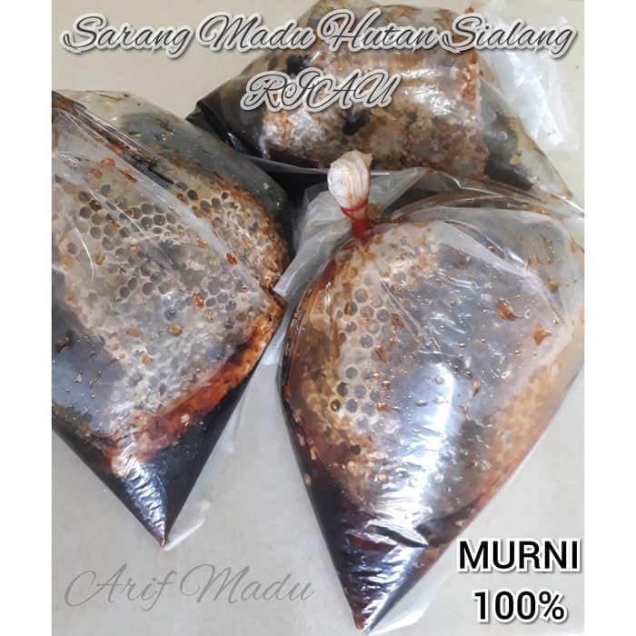 

Madu Sarang Hutan Sialang Riau 1 kg - MMD1872