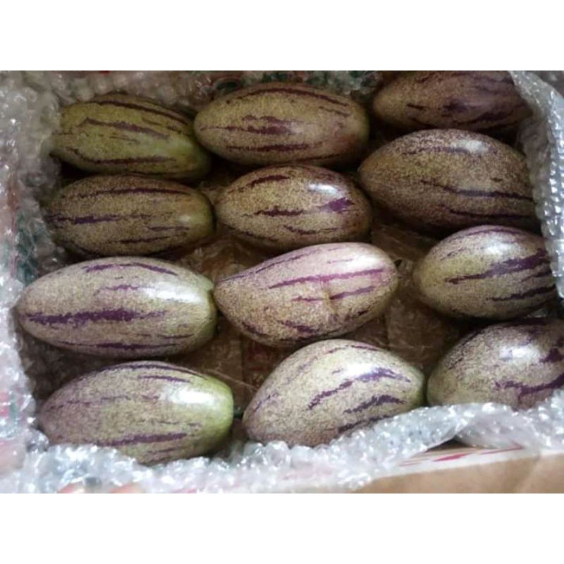 

buah pepino Fresh 1kg
