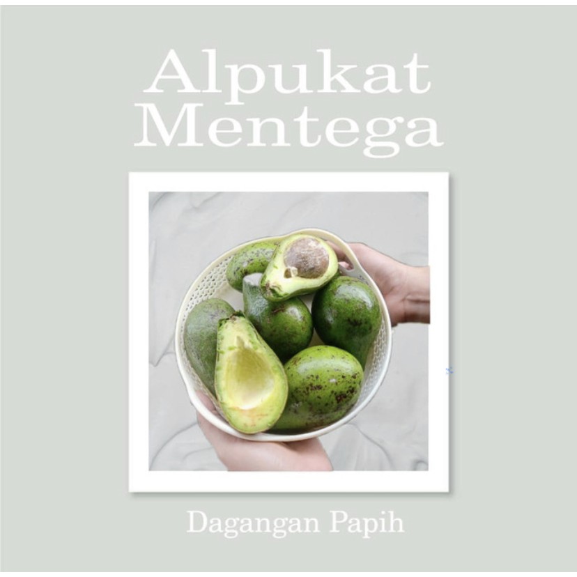 

ALPUKAT MENTEGA 1Kg