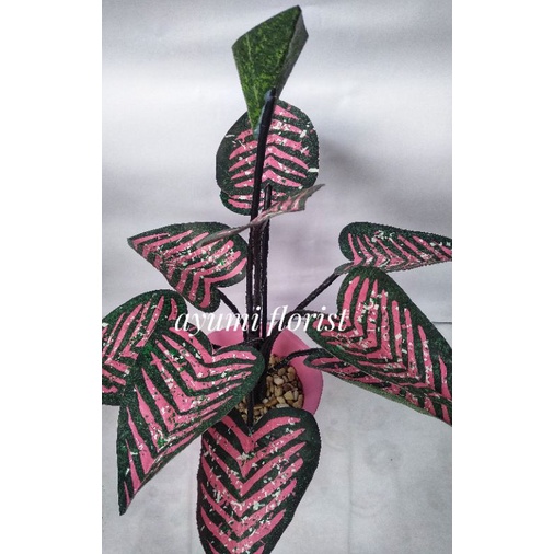 bunga keladi handmade dari plastik kresek prakarya ukuran jumbo. diy free pot