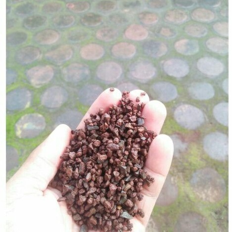 Pasir Malang Merah No. 2 | Aquarium dan Aquascape | Media ikan chana chanaa cana channa