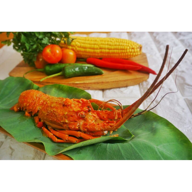 

Kepiting Lobster Medium