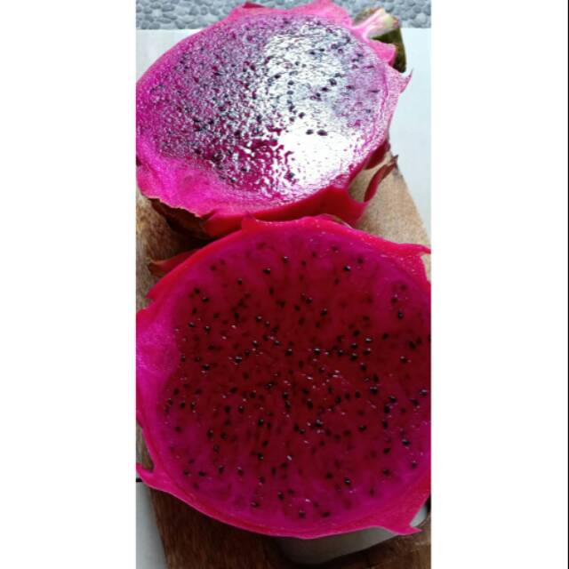 

Buah Naga Merah Ungu