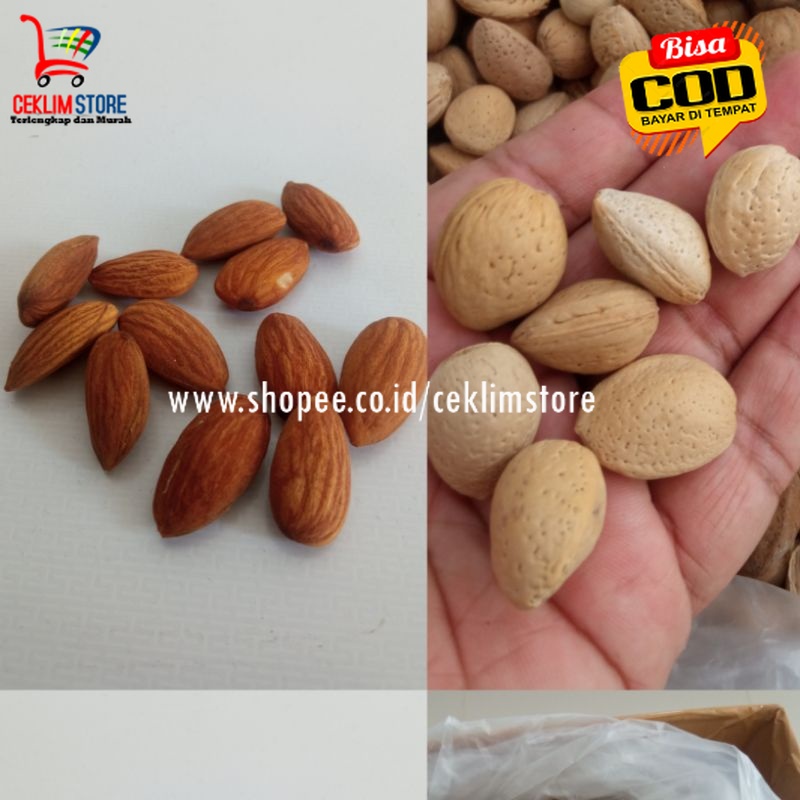 

Ketapang Khas Aceh Kupas Dan Belum Kupas 10 / 20 / 40 Gr