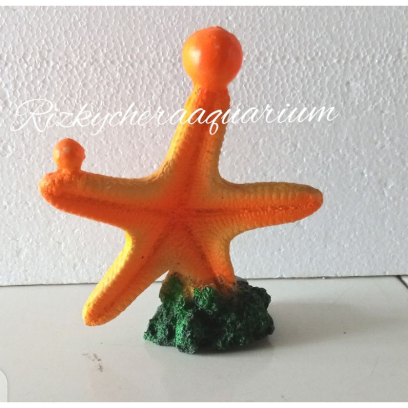 hiasan aquarium fiber bintang laut