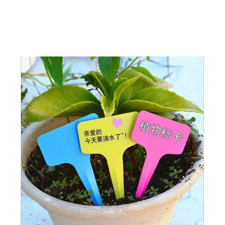 

LABEL NAMA TANAMAN TAG TANAMAN BAHAN PLASTIK PER PCS