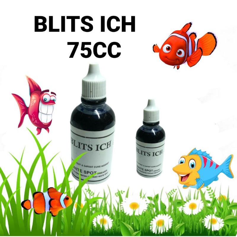 BLITS ICH OBAT IKAN HIAS 75CC