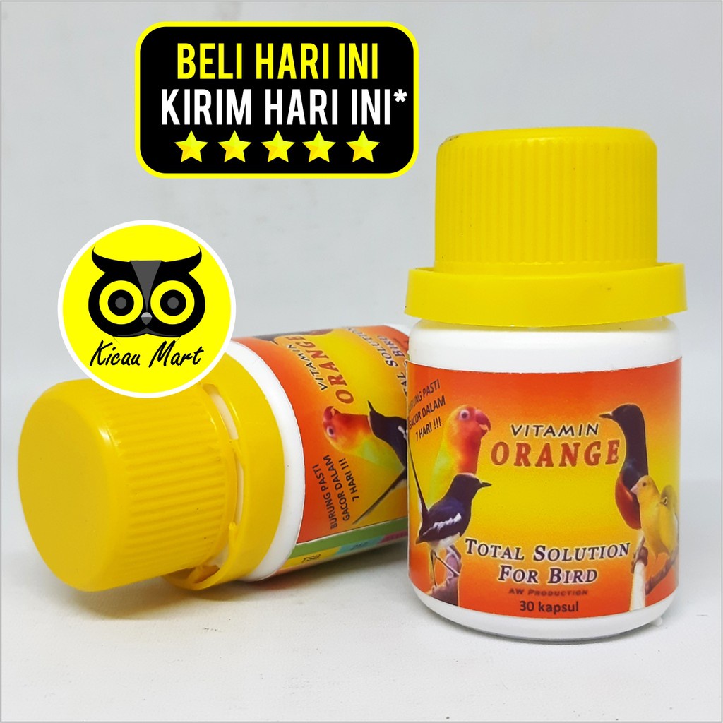 VITAMIN PENGGACOR OBAT MACET BUNYI BURUNG MURAI KACER PLECI ORANGE CAPSUL KAPSUL AIDY WIJAYA VTOCPDI