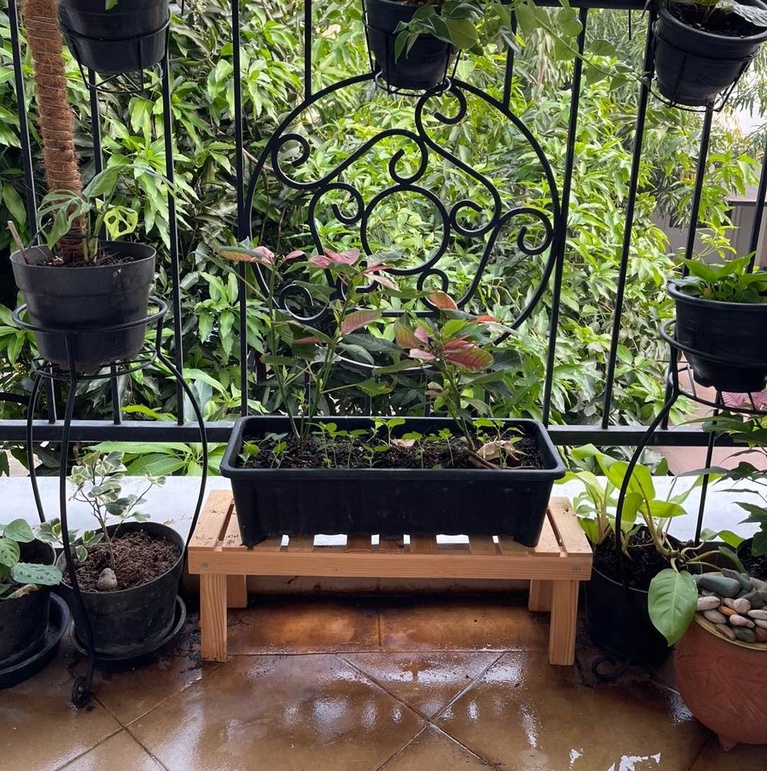 STANDING POT / RAK BUNGA WOODEN / RAK BUNGA KAYU MINIMALIS / RAK TANAMAN /RAK BUNGA UKURAN PANJANG 6