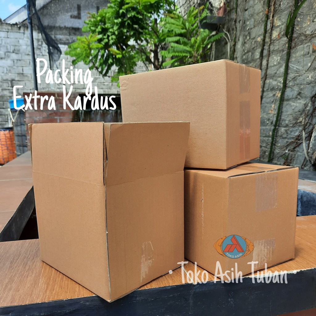 

Packing Extra Kardus / Packing Tambahan Kardus