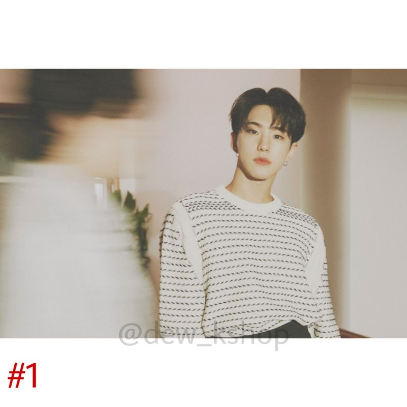 POSTER SEVENTEEN - 'Your Choice' BESIDE Ver. #HOSHI