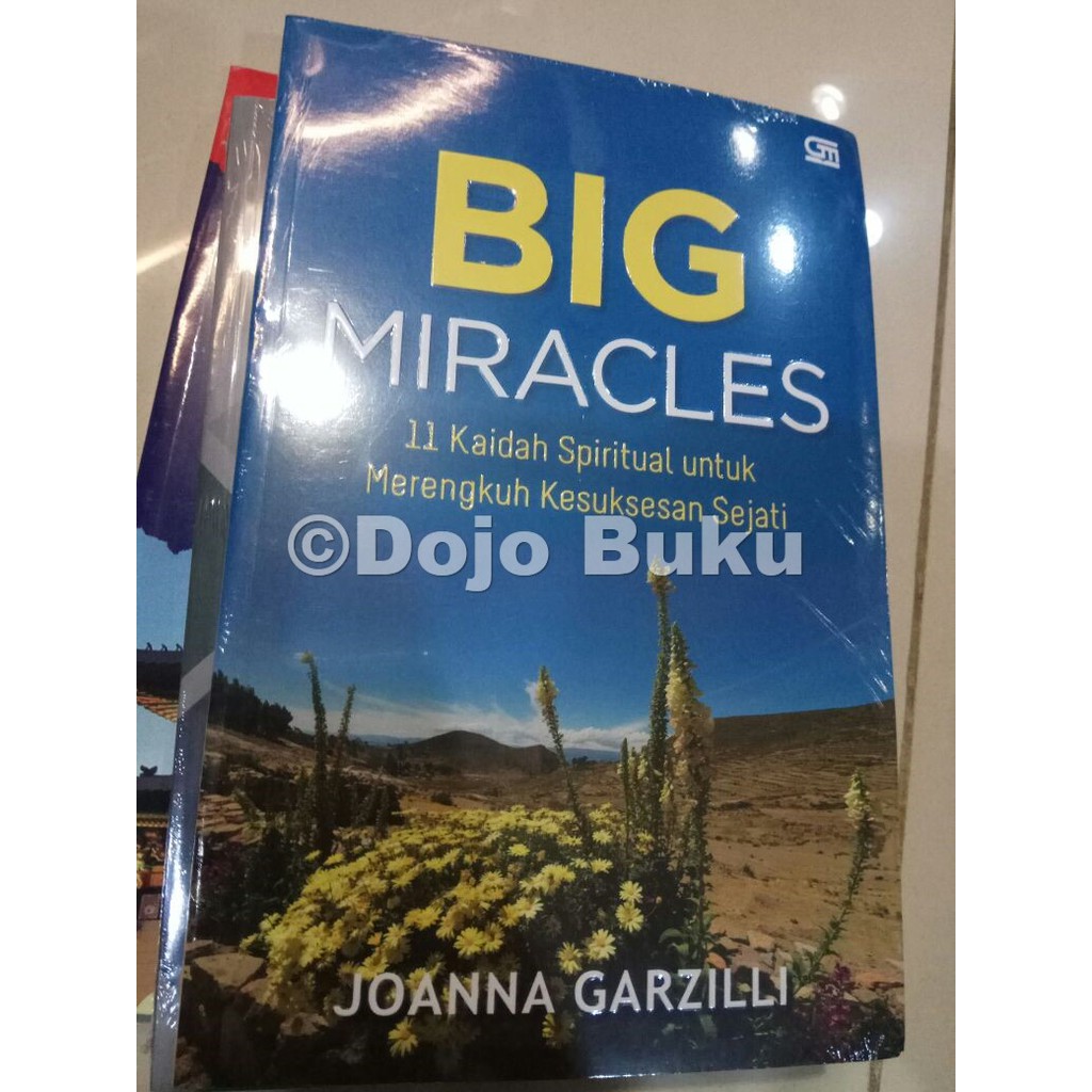 Big Miracles: 11 Kaidah spiritual untuk merengkuh kesuksesan sejati by Joanna Garzilli