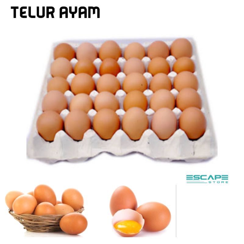 Telor Ayan Telur Ayam Negeri Negri Fresh dan Segar Berat 1kg Isi 15 -17 Butir