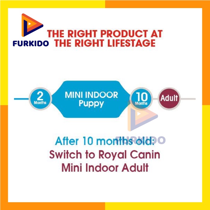 Royal Canin Puppy Mini Indoor 1.5 KG / 1,5 Kg