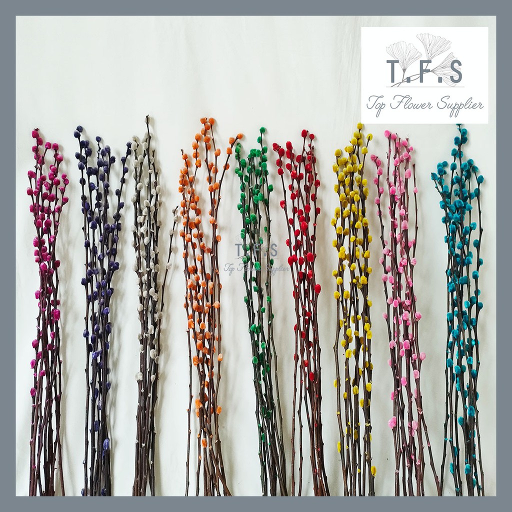 (9pcs) Dried Pussy Willow 2023 Bunga Imlek Dekorasi Chinese New Year Decoration CNY Bunga Kering Bun