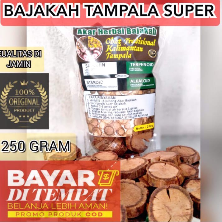 Akar Bajakah/Bajakah Tampala Asli Kalimantan