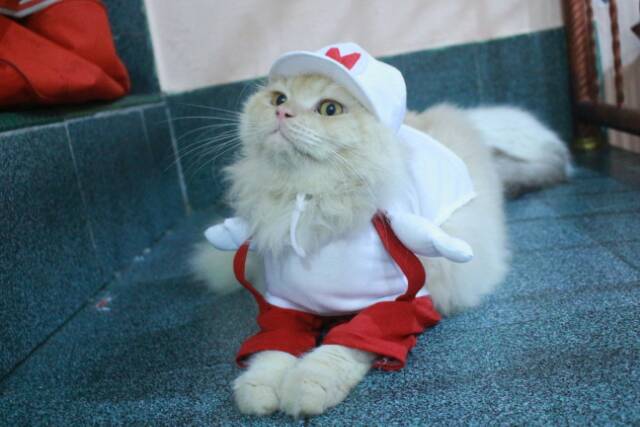 Kostum Mario power-Up merah putih untuk kucing dan anjing size S M L XL