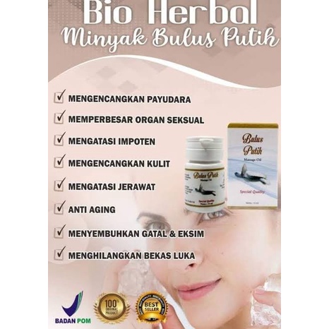 BIO HERBAL MINYAK BULUS PUTIH ORIGINAL MASSAGE OIL PEMBESAR PAYUDARA WANITA BIOHERBAL MINYAK BULUS