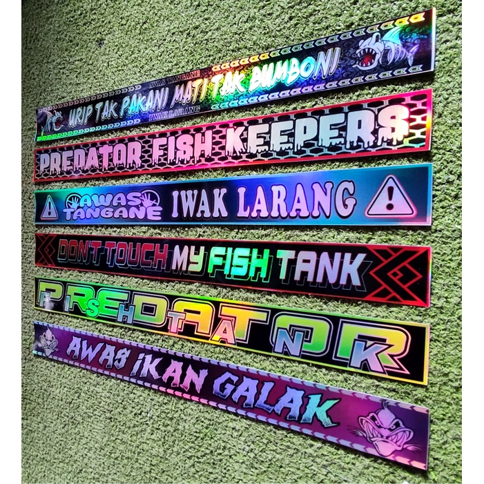 STIKER AKUARIUM IKAN GALAK HOLOGRAM / IKAN CHANNA