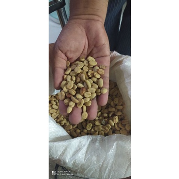 

Kopi Arabica Wamena Papua