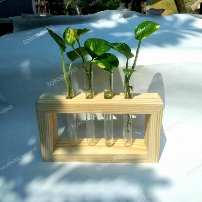 Vas tanaman kaca / vas bunga kaca / vas kaca propagasi tanaman