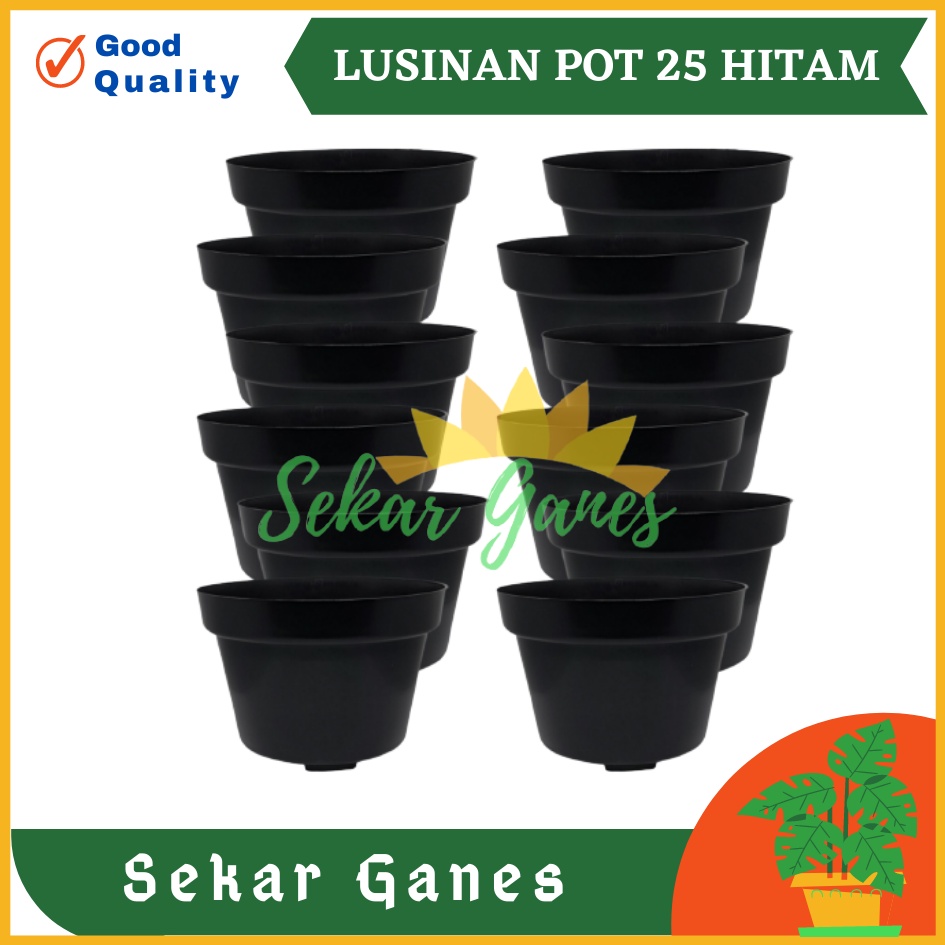 LUSINAN Pot 25 Hitam Isi 12 Pcs TERMURAH GROSIR Pot Lusinan Hitam Murah Termurah 12 15 17 20 25 30