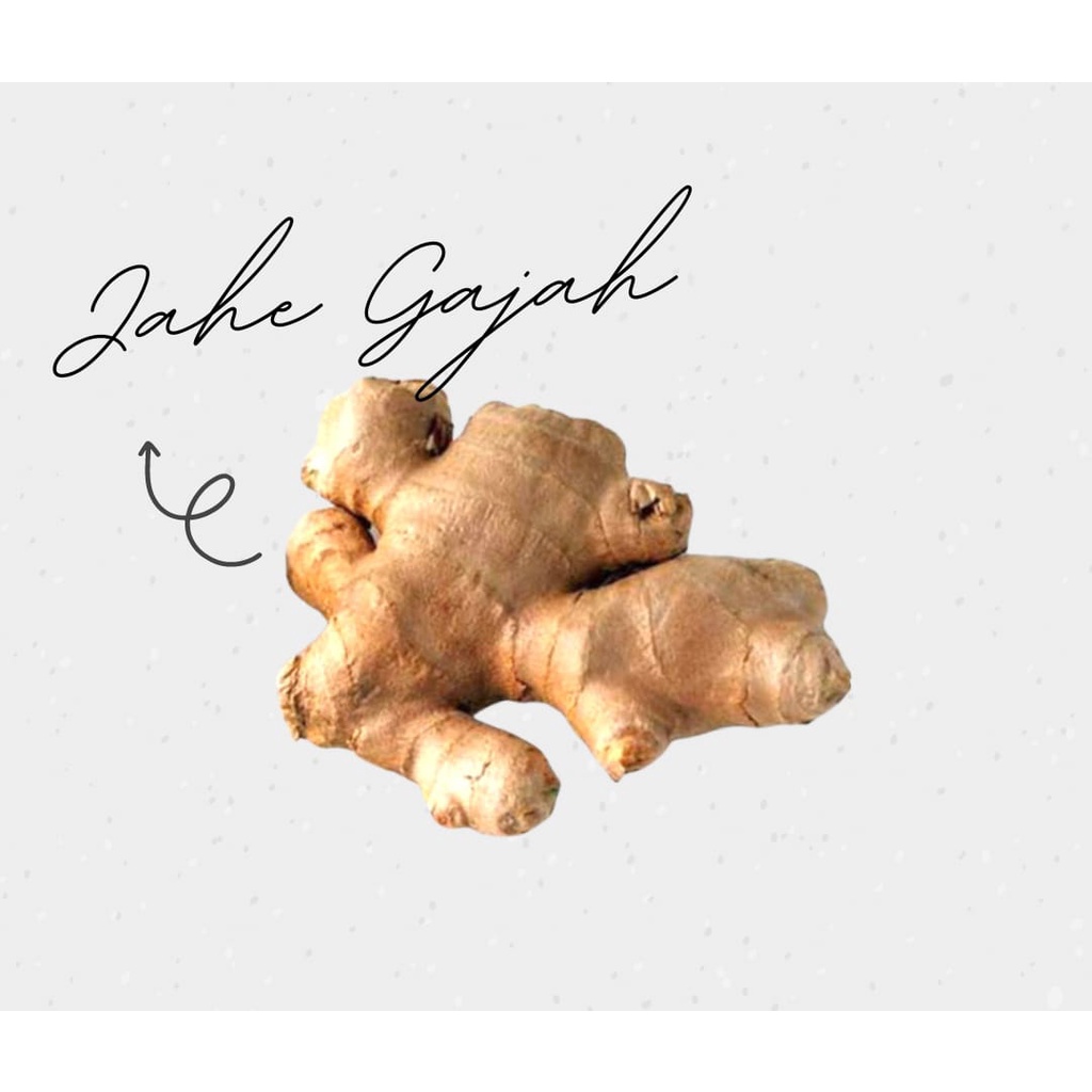 

Jahe Gajah 250gram