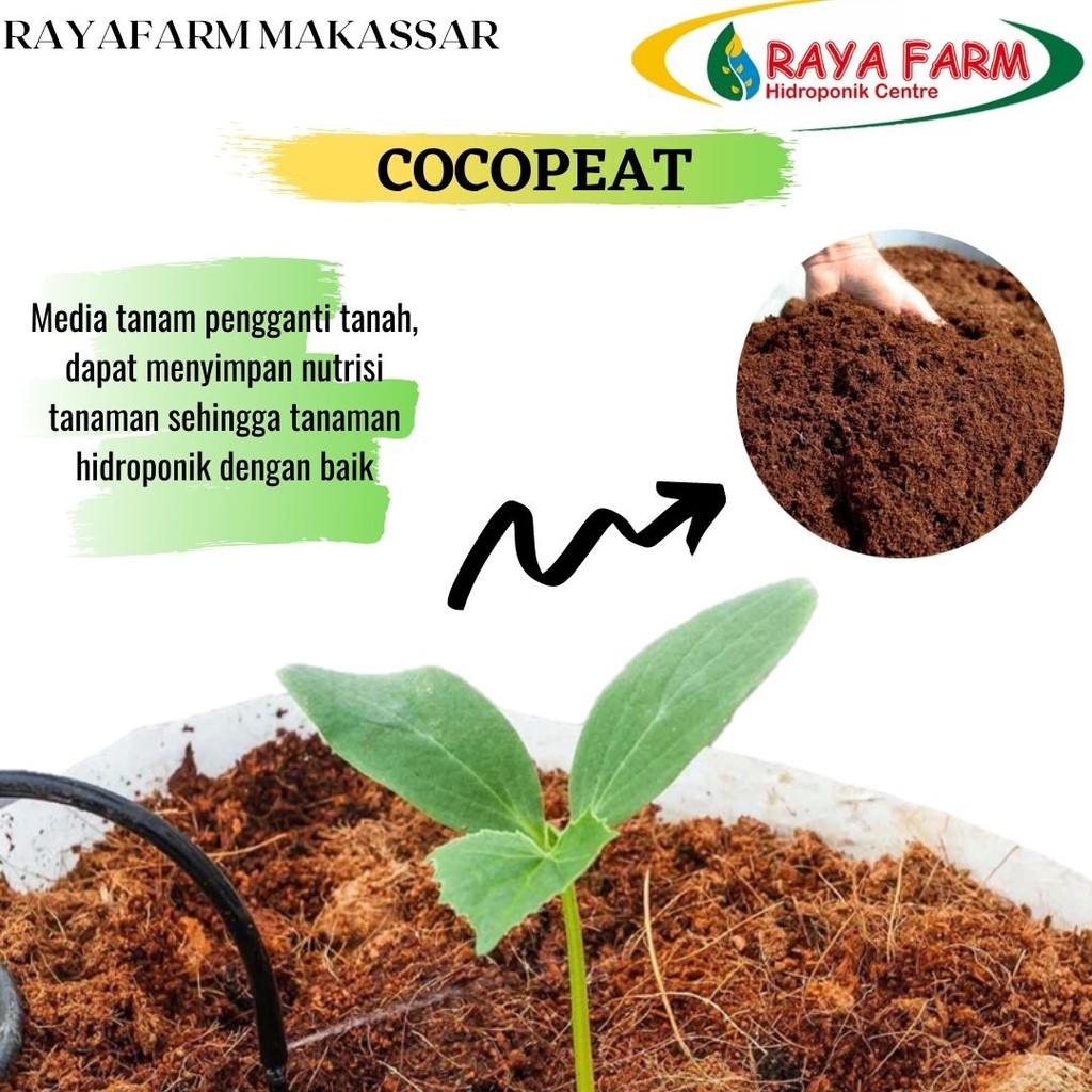 

COCOPEAT HALUS