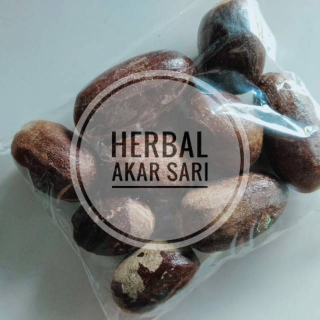 Akar Sari - Pala Kocak/Polo Kocak 50 Gram - menghilangkan masuk angin