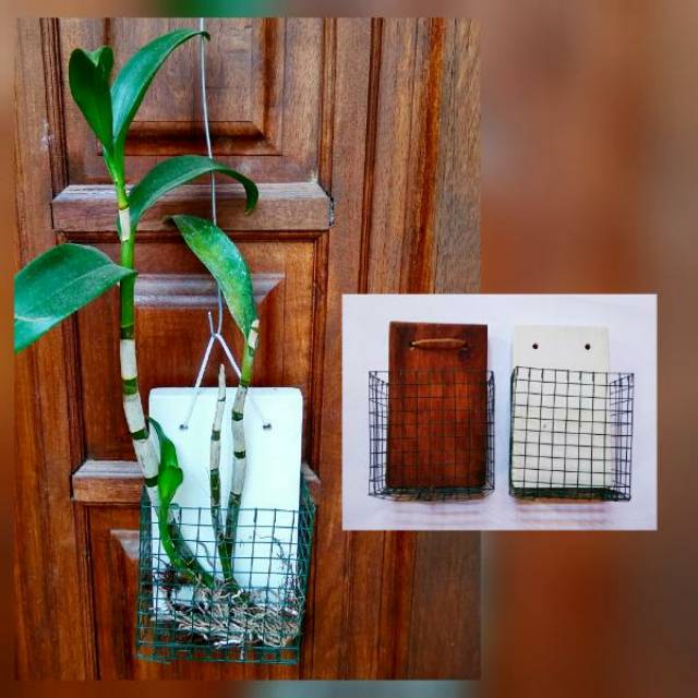 Pot dinding - pot kayu anggrek