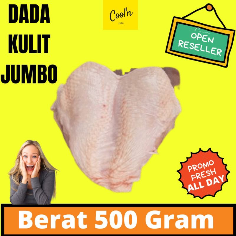 

Dada Kulit Filet Ayam Besar Gede 500gr 500 gram Bonles Dada Ayam Fresh Fress Murah