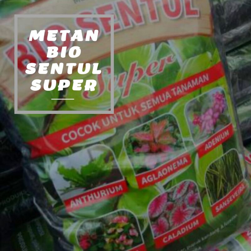 Media Tanam Bio Sentul Tanah Subur Aglonema | Anthurium | Adenium dll
