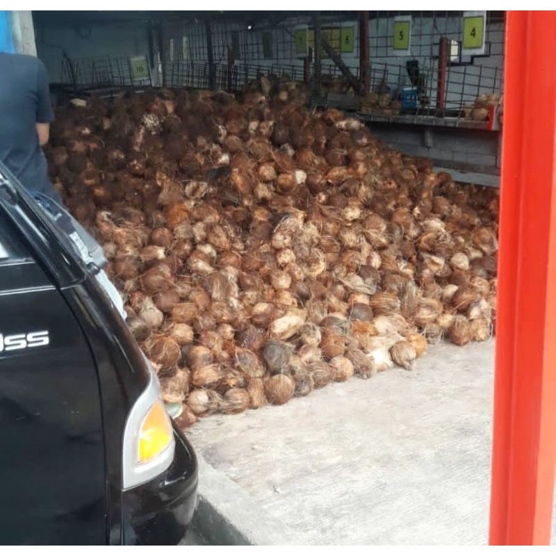 

Kelapa utuh dan parut murah