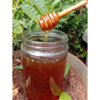 Madu nektar rambutan 1kg madu murni madu asli madu jakarta