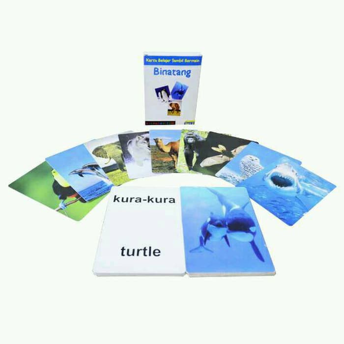 FlashCard - Binatang (Kartu Bayi)