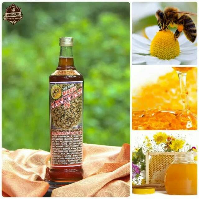 Original Madu Murni 5 Nectar Peternakan Lebah Rimba Raya Lawang Malang Asli