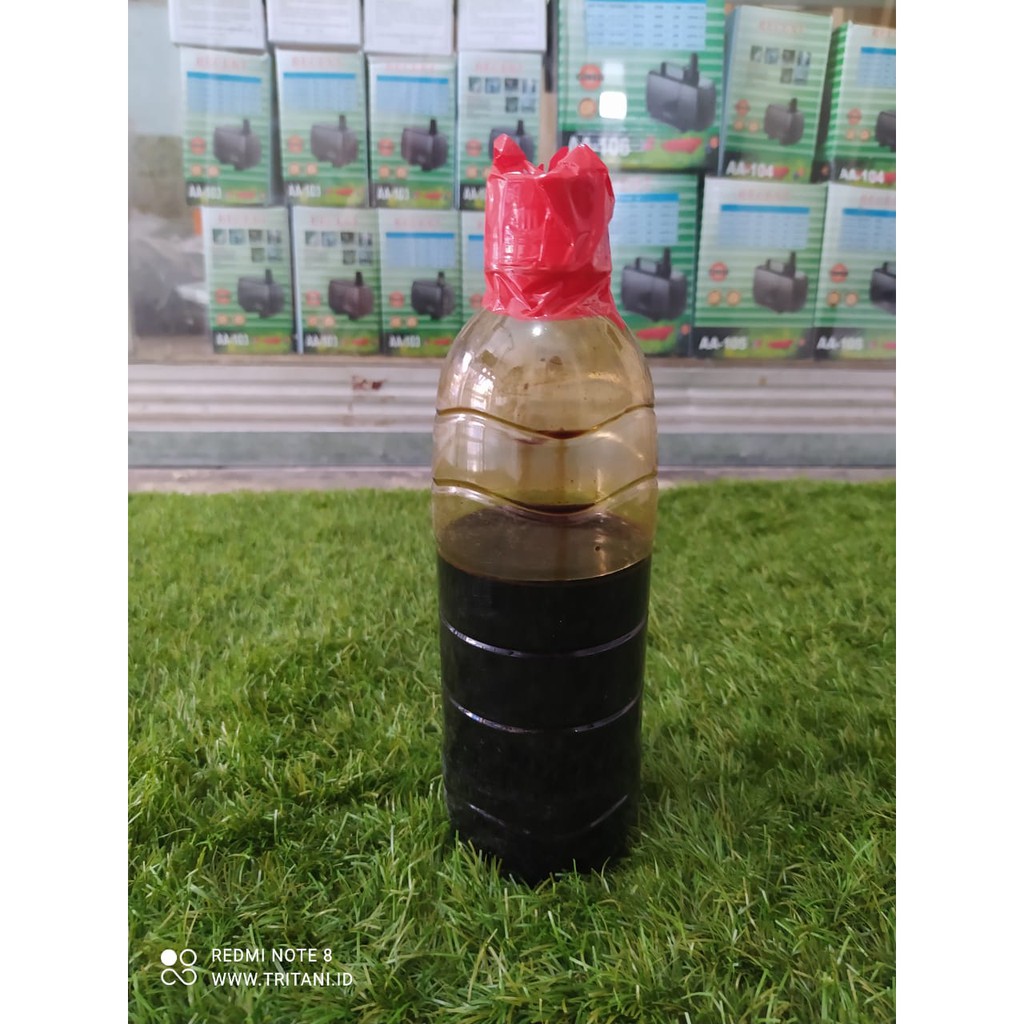 

Molase tetes tebu murni kemasan botol 500gr