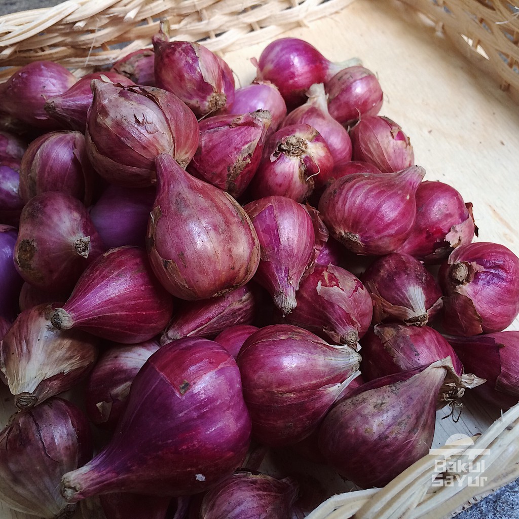 

Bawang Merah Conventional ~ 500gram